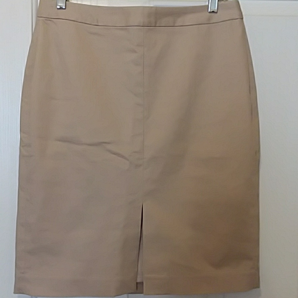 Banana Republic Skirt